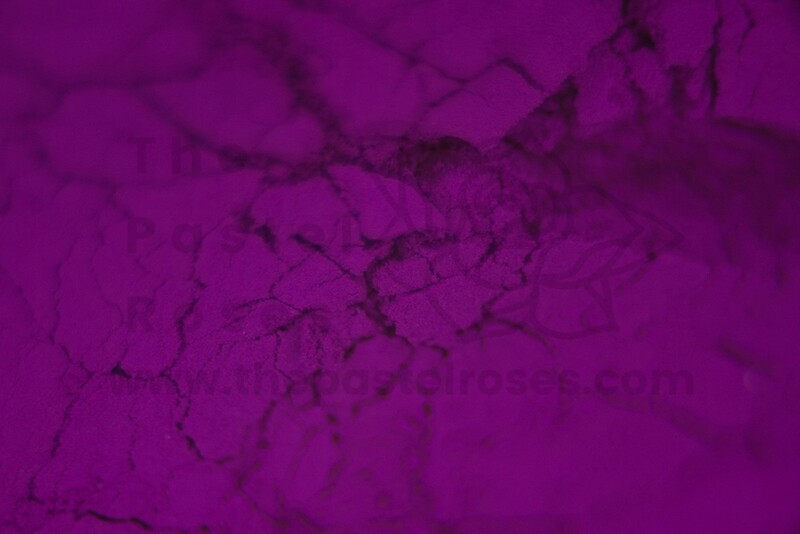 Neon Loose Pigment - Amethyst - 1g Neon Loose Pigment - Amethyst - 1g