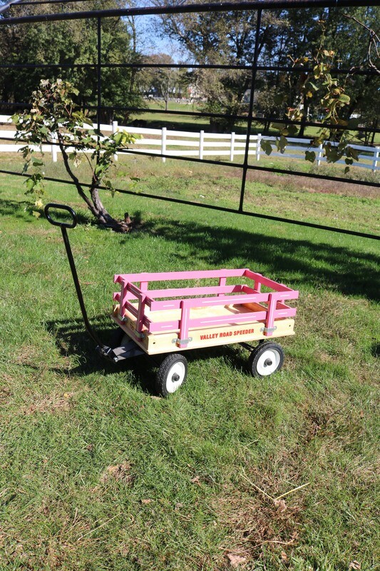 Valley Road Speeder Wagon 125