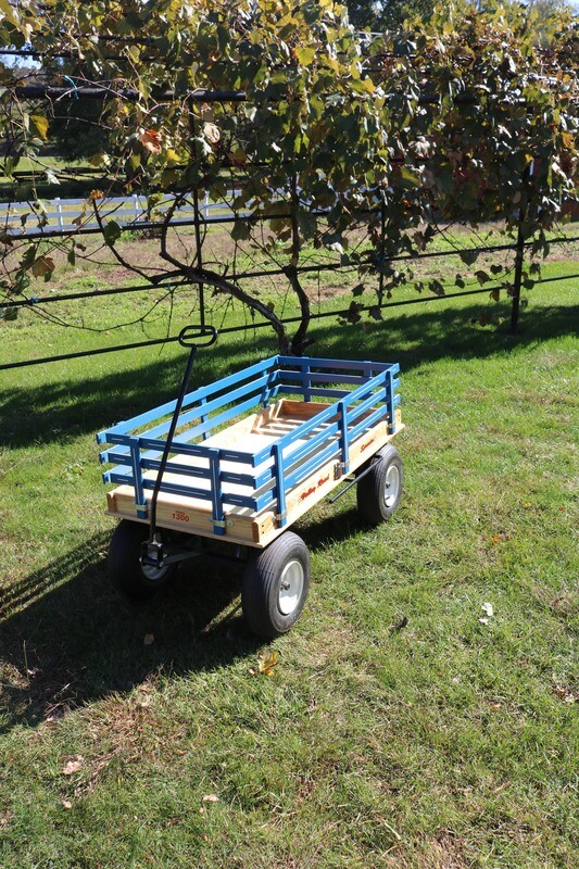 Valley Road Speeder Wagon 1300