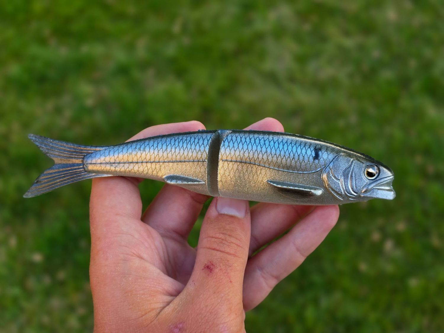 Osakana THREADFIN Shad