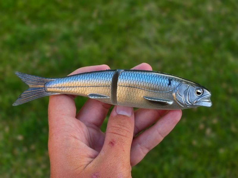 Osakana THREADFIN Shad