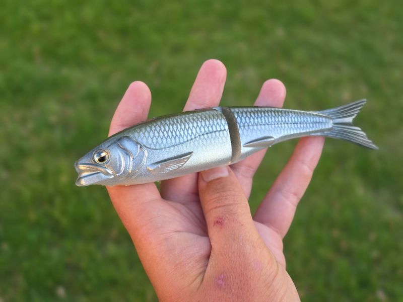 Osakana - Smokey Clear Lake Hitch