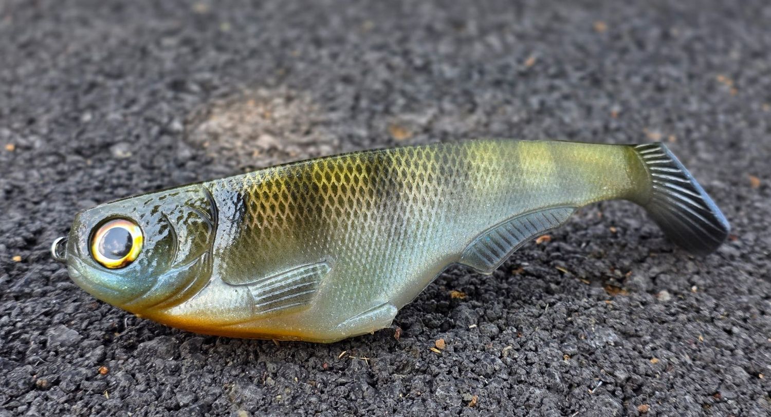 WCZ Citizen 7in (2pk) - Natural Bluegill