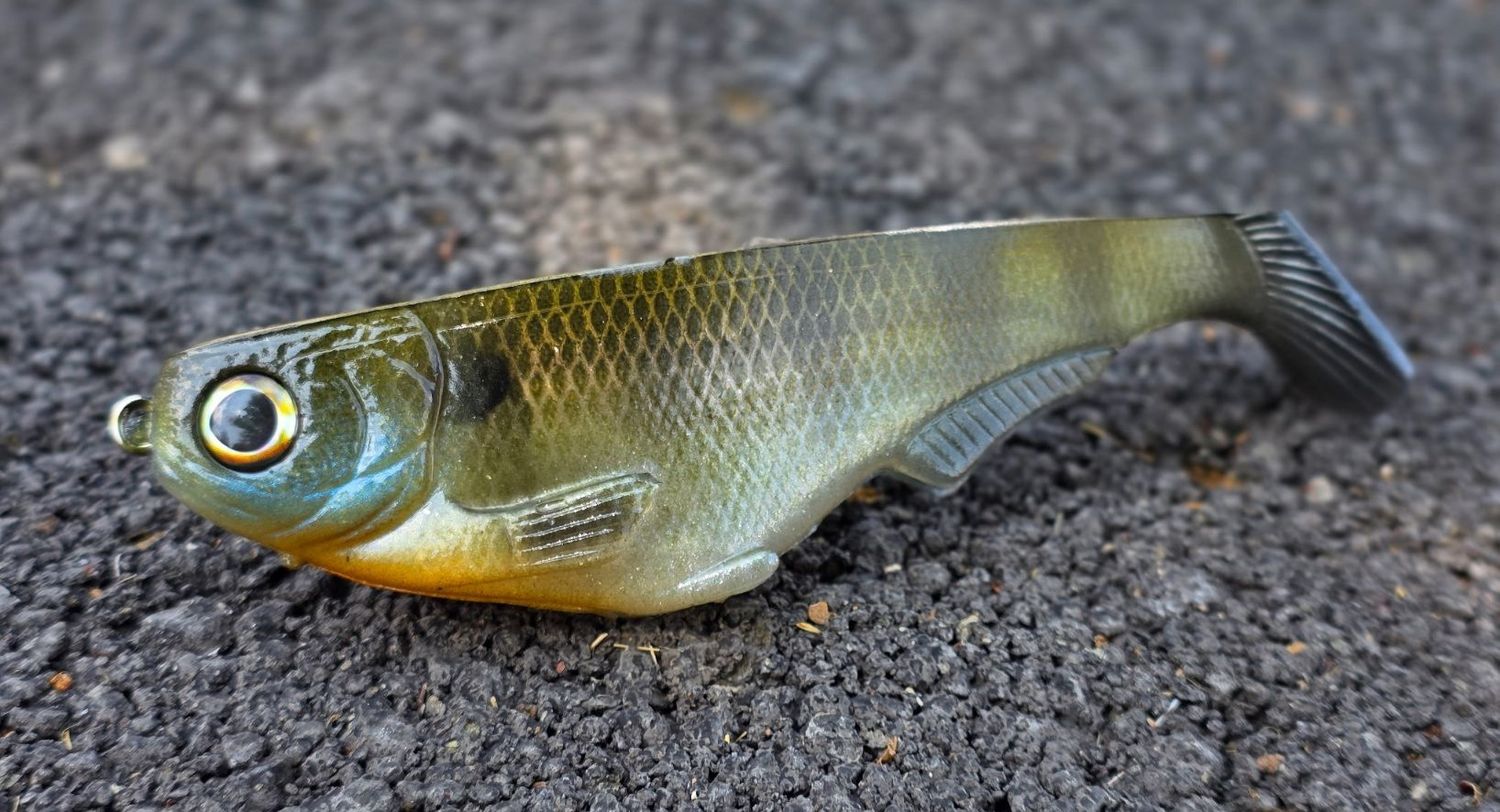 WCZ Citizen 6in (2pk) - Natural Bluegill