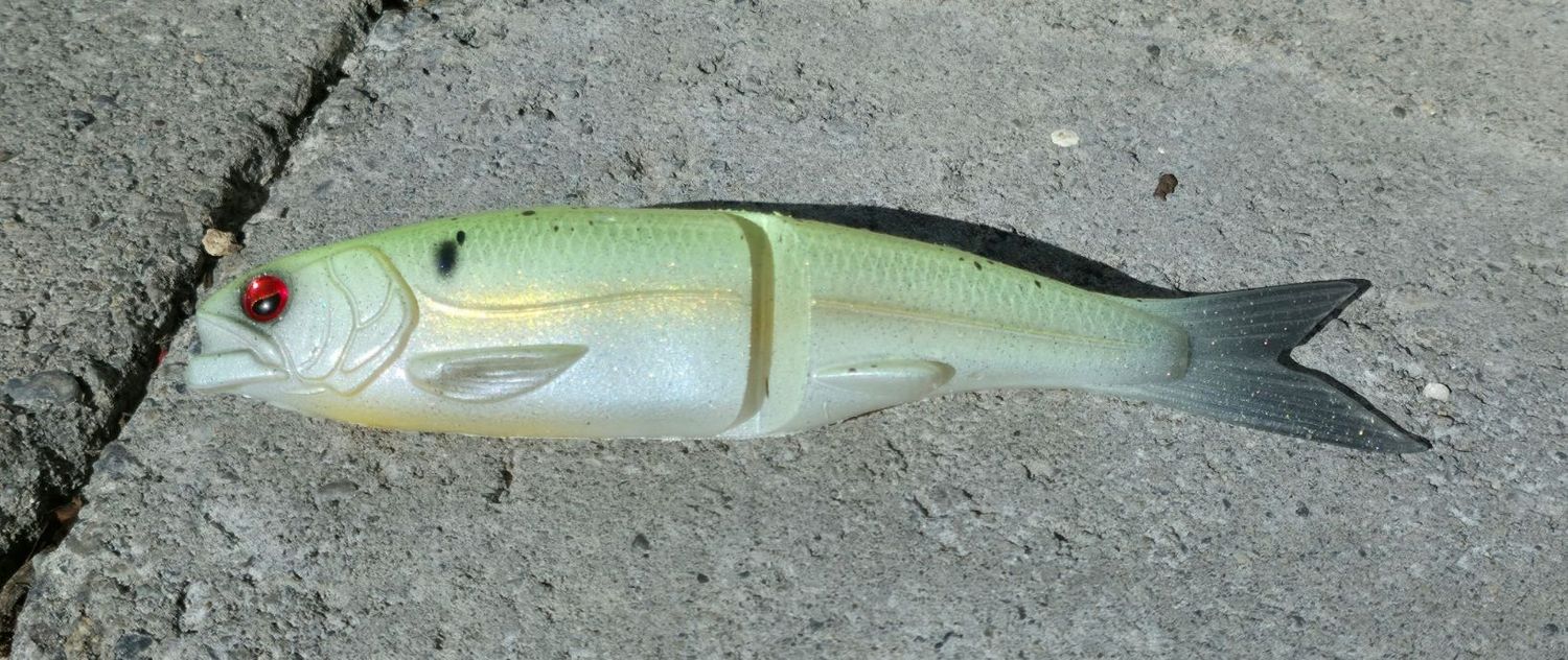 Osakana - Chartreuse Shad
