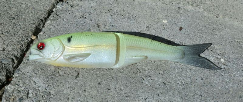 Osakana - Chartreuse Shad