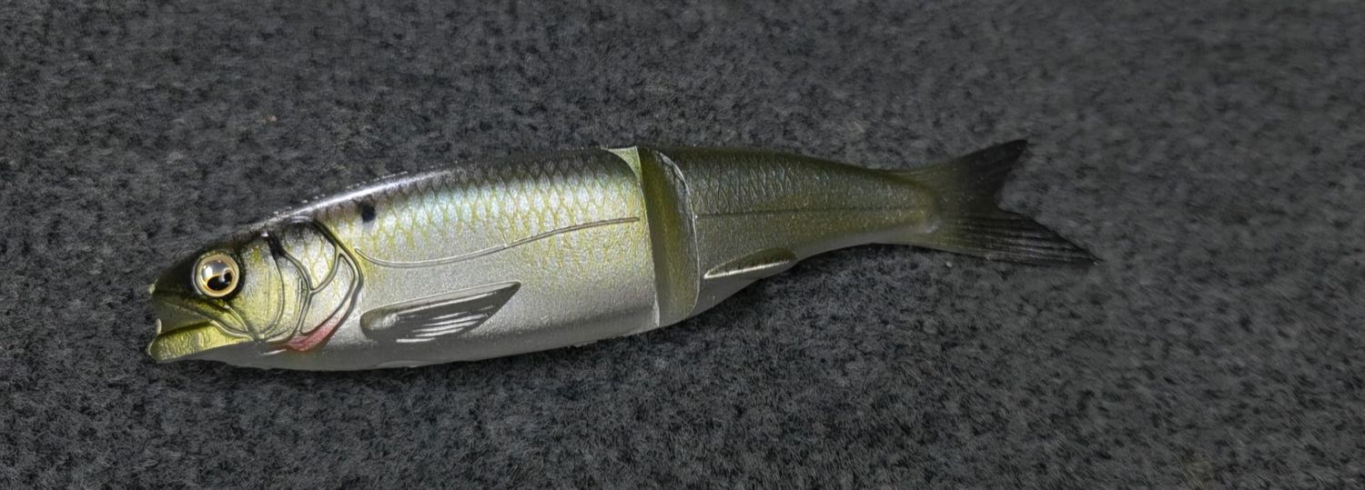 Osakana - Classic Shad