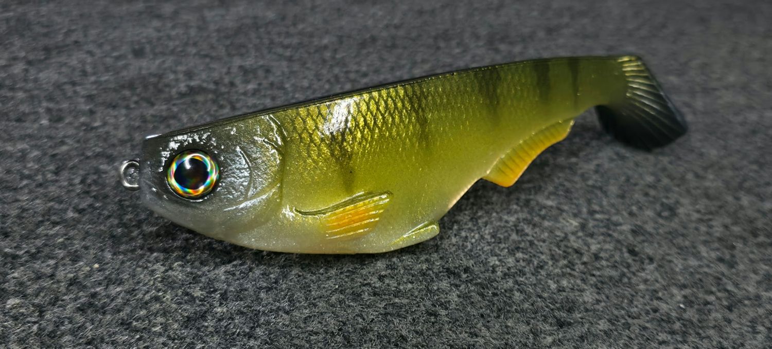 WCZ Citizen 6in (2pk) - Perch