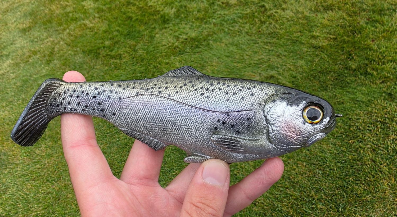 WCZ Battles Shad 7.5 - Mt Lassen