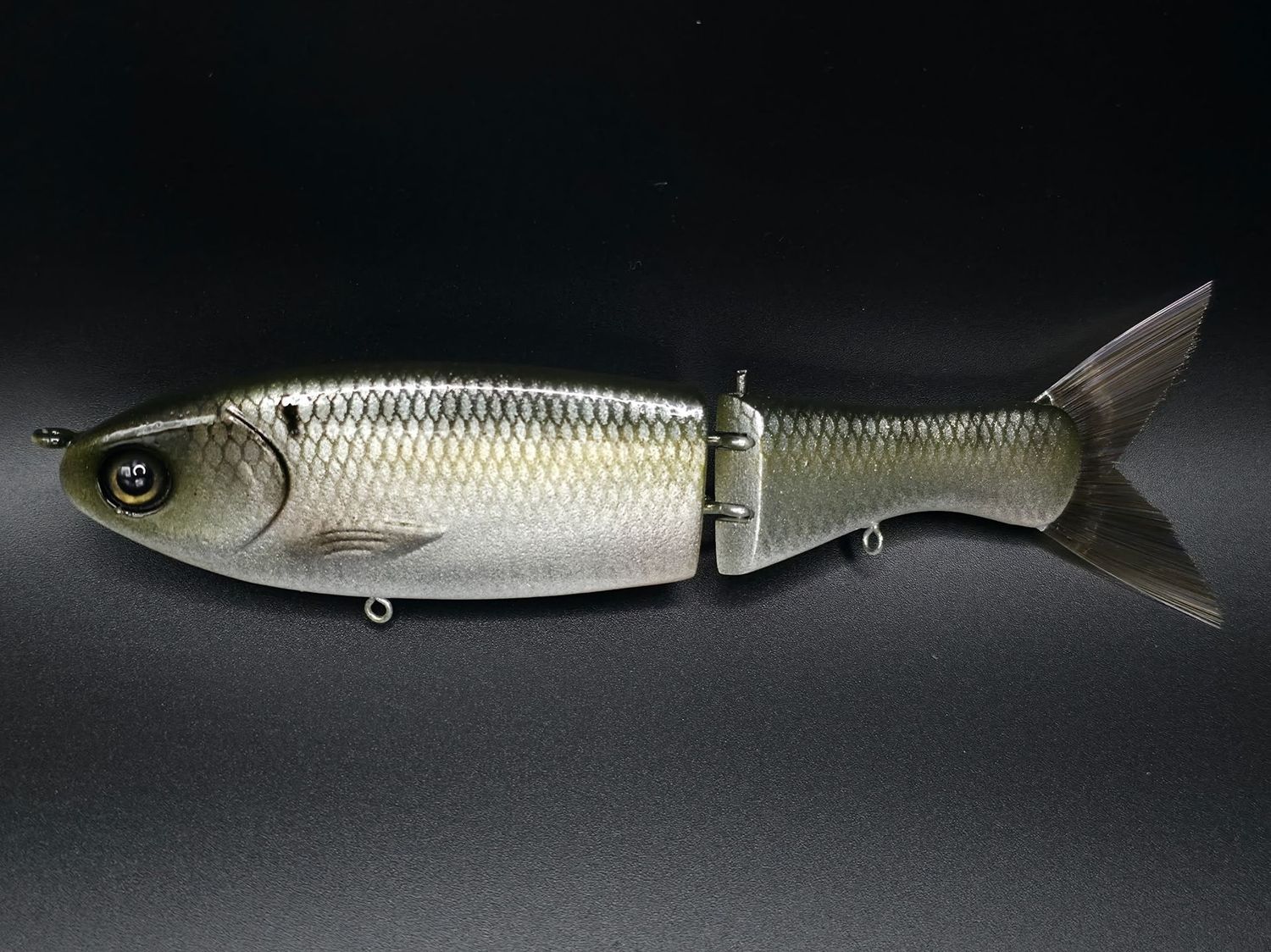Clutch Darter - Natural Threadfin