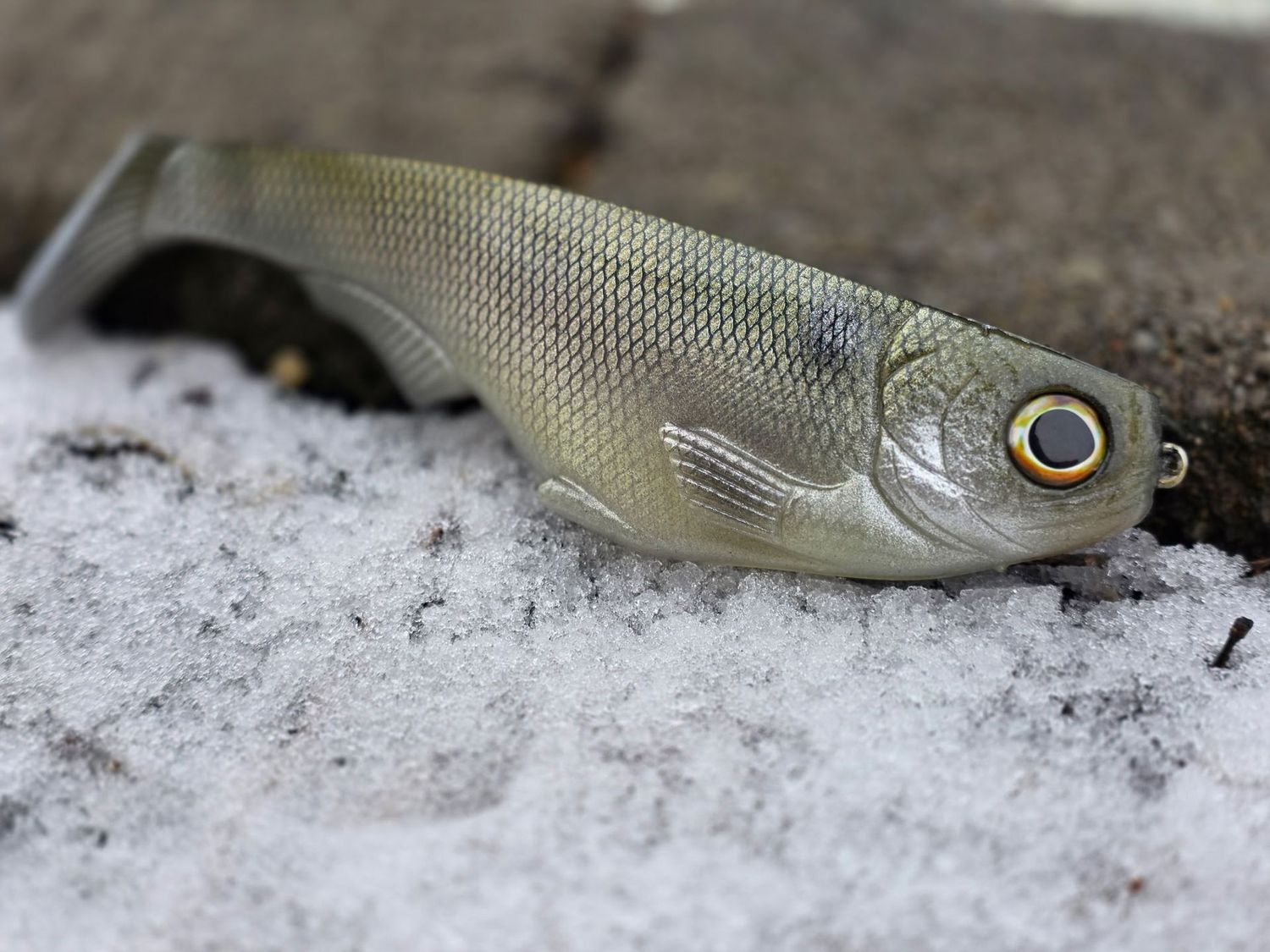 WCZ Citizen 9in - Bone Gizzard