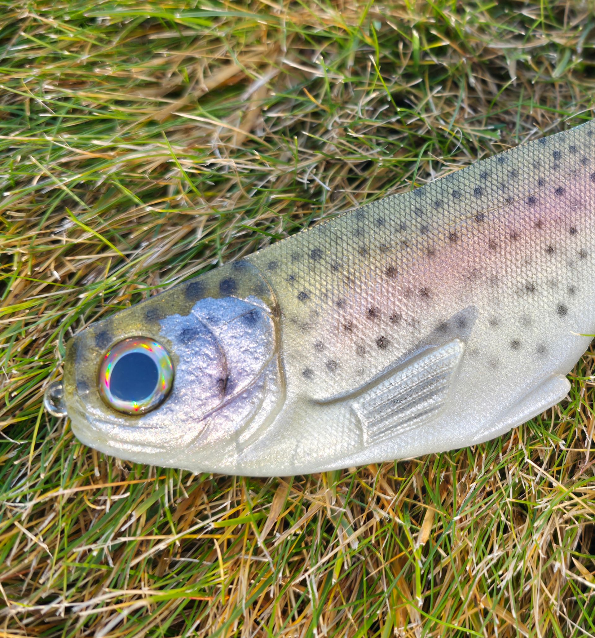 WCZ Citizen 9in - Cal Special