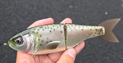 Throwback Metro - Cali Gold Throwback Metro - Cali Gold