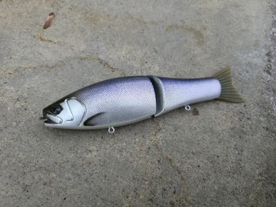 RM Negotiator - Kokanee