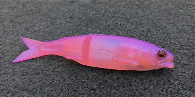 Osakana - Morning Dawn