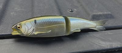 Osakana - Natural Threadfin