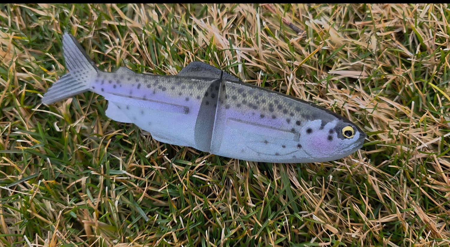 Skinner Clide 7 Skinner Clide 7" - Mt Lassen