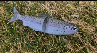 Skinner Clide 7" - Mt Lassen