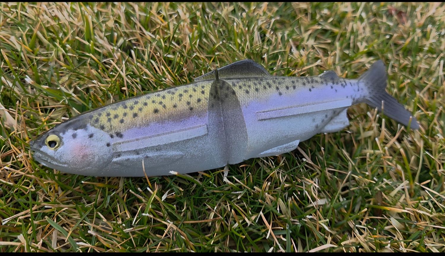 Skinner Clide 9 Skinner Clide 9" - Mt Lassen