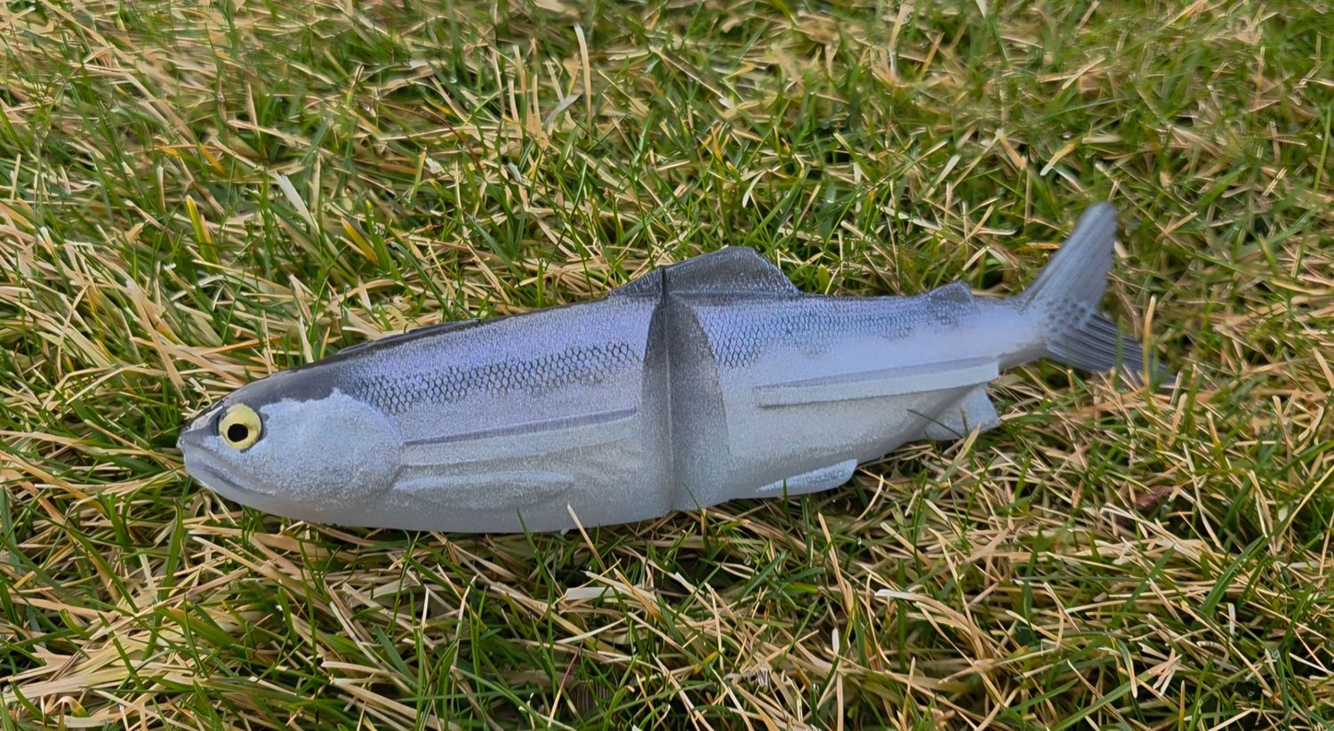 Skinner Clide 9" - Kokanee