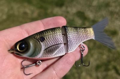 Spro Lil Guy - Rose Gold Gill Spro Lil Guy - Rose Gold Gill