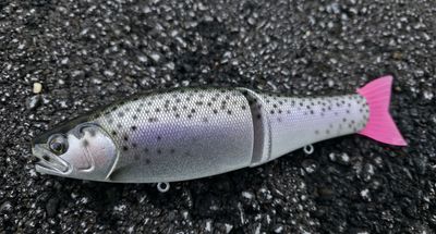 RM Negotiator - Mt Lassen RM Negotiator - Mt Lassen