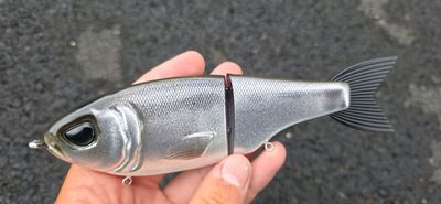 Throwback Metro - Kokanee