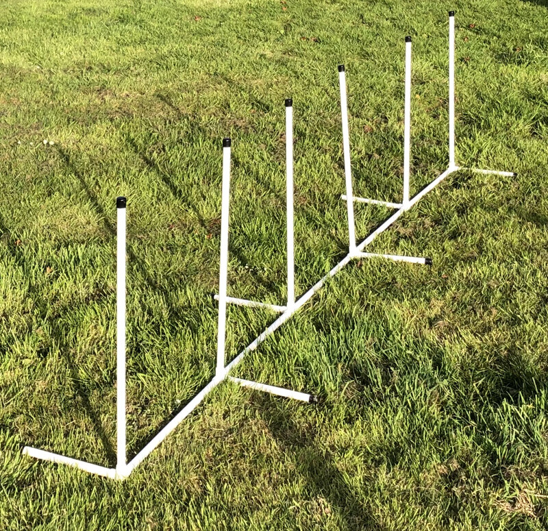 Six Weave Poles