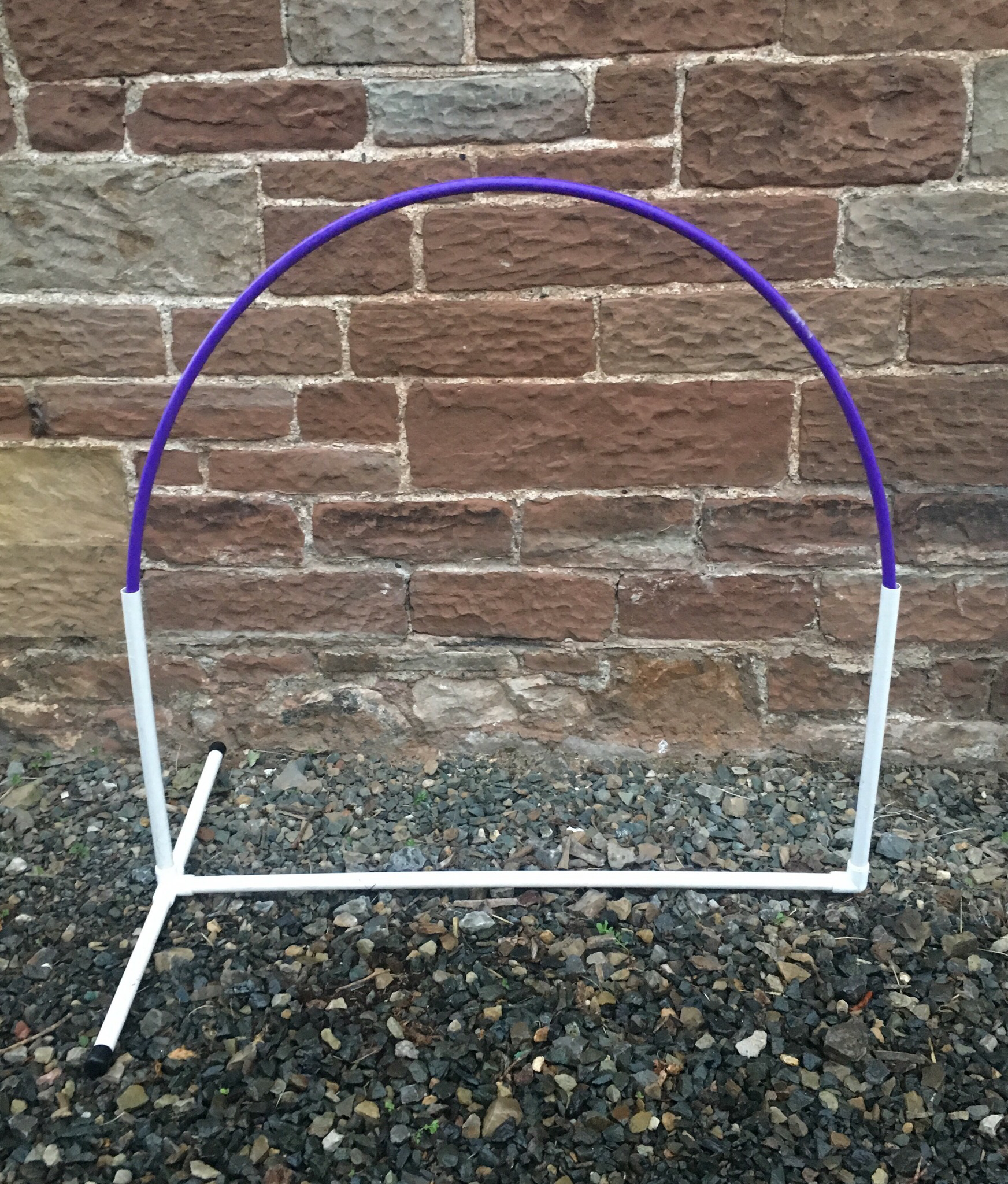 phase purple agility training