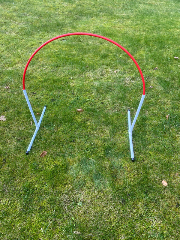 Standard Two Foot Baseless Hoops x 6