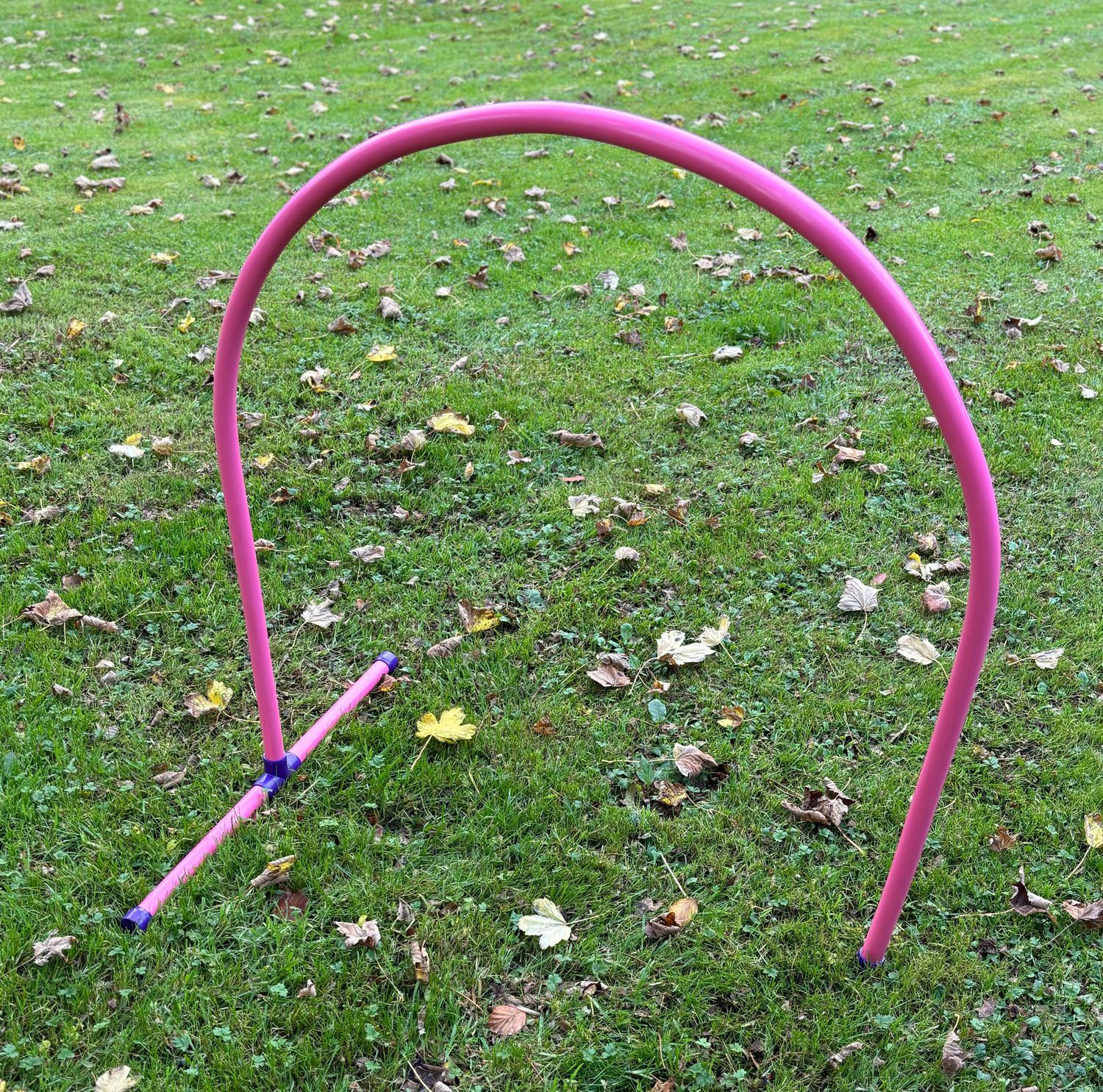 Baseless Maxi Hoop x 6