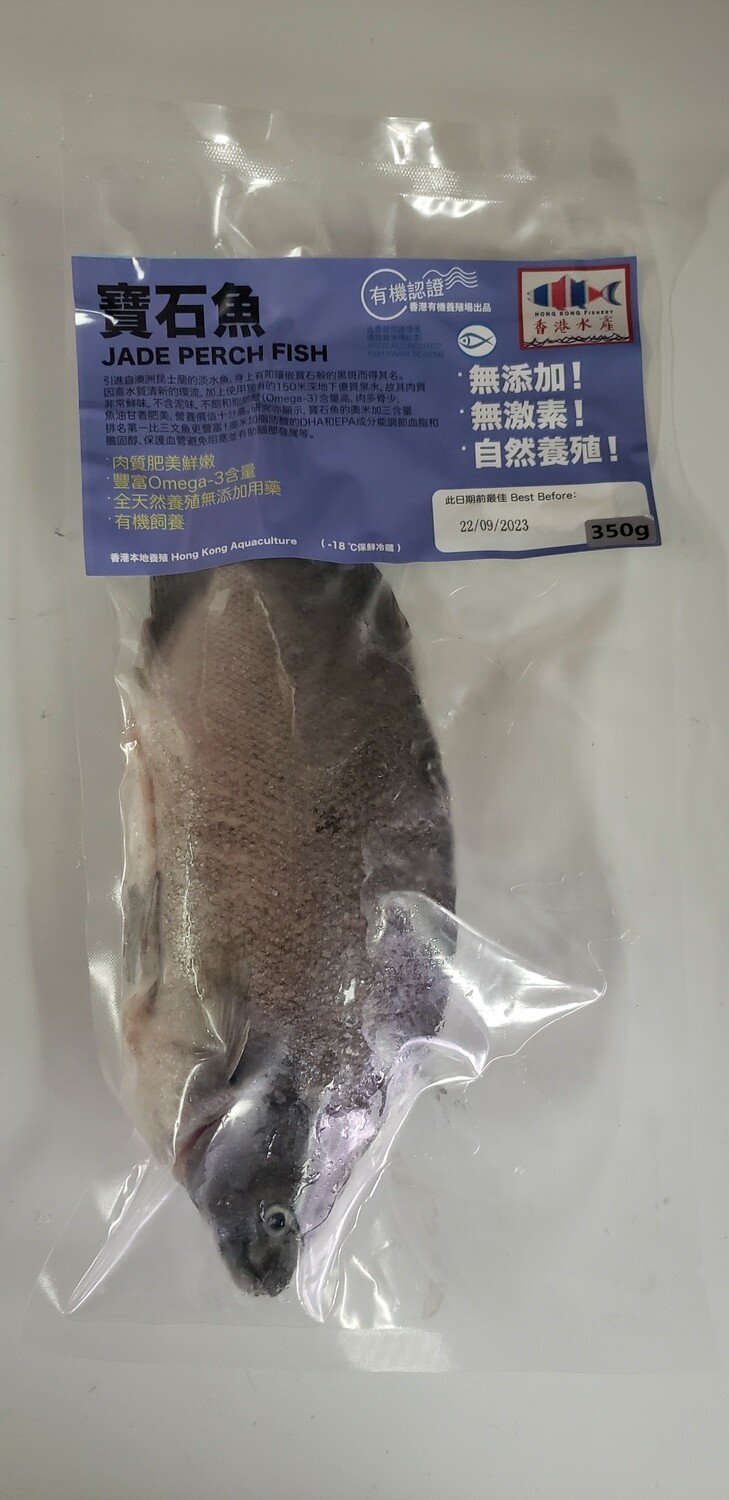 香港水產寶石魚
