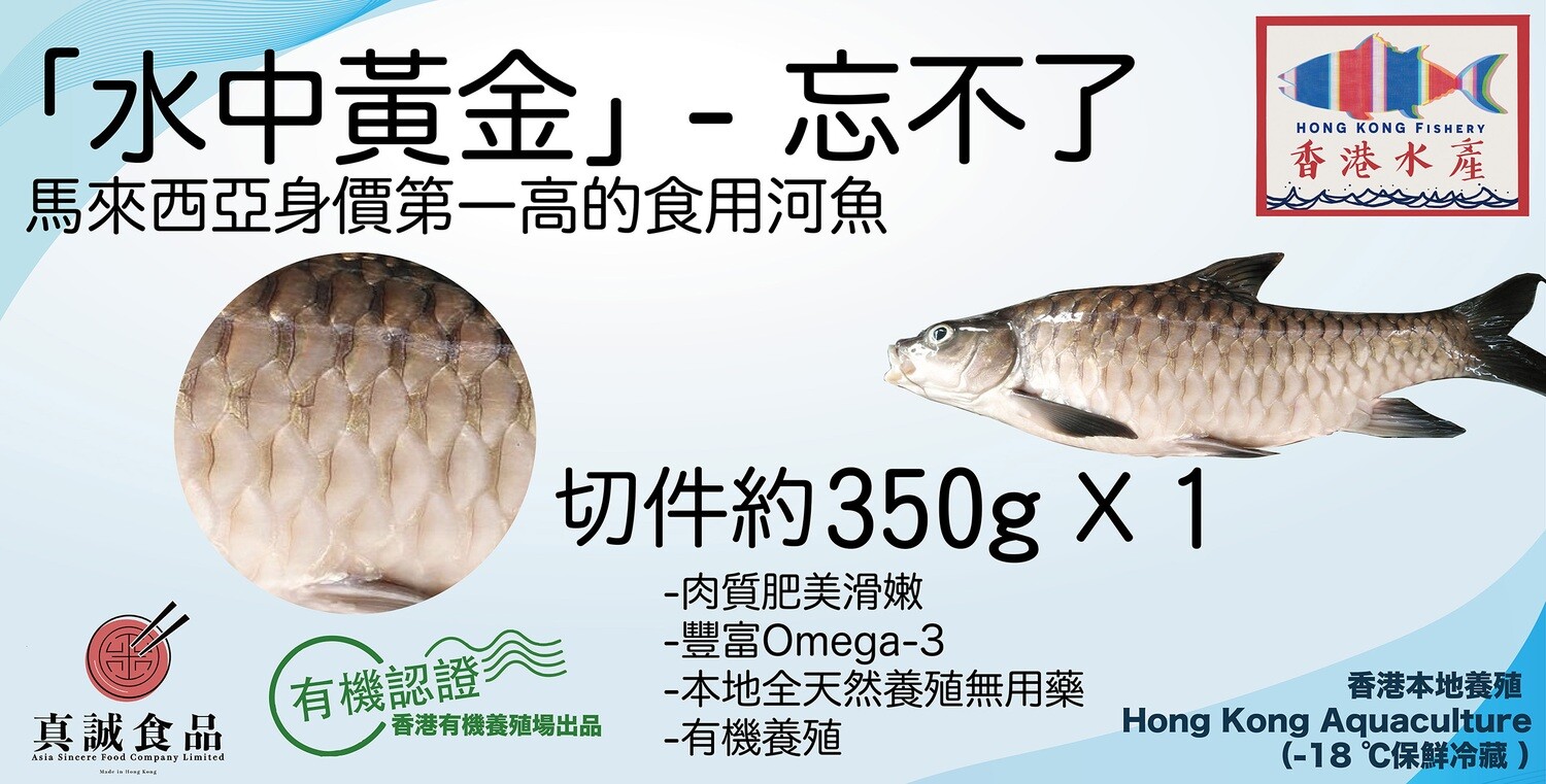 香港水產忘不了魚