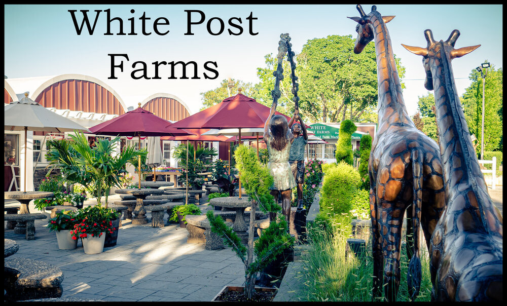 White Post Farms Raffle Ticket (2 adults/2 children/2 pony rides)