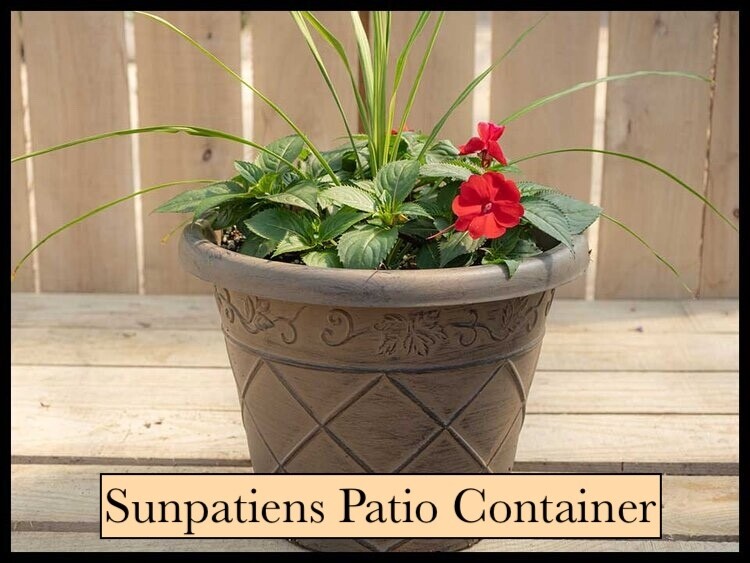 12" Decorative Patio Containers