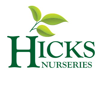 Hicks Nurseries $100 Gift Certificate Raffle Ticket