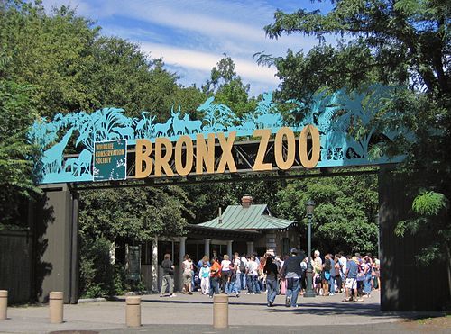 Bronx Zoo - 4 Tickets - Raffle Ticket