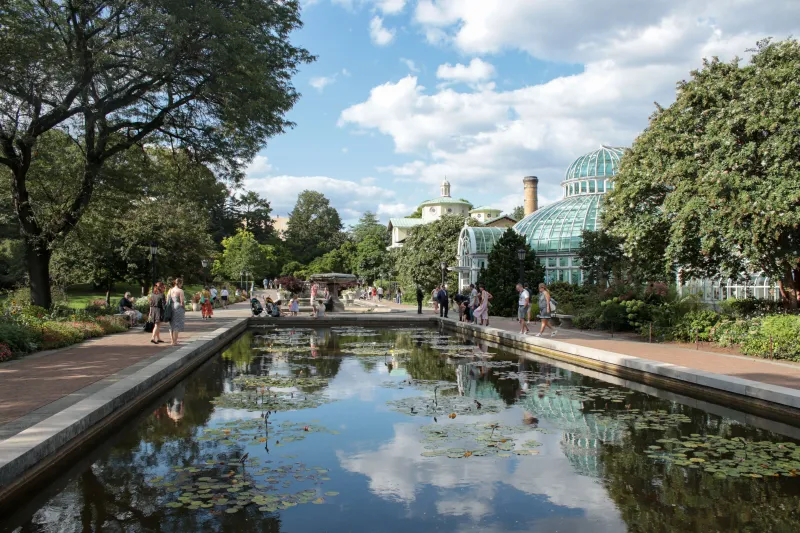 Brooklyn Adventures - Brooklyn Botanical Gardens and Transit Museum - Raffle Ticket