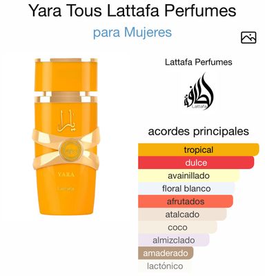 Yara Tous