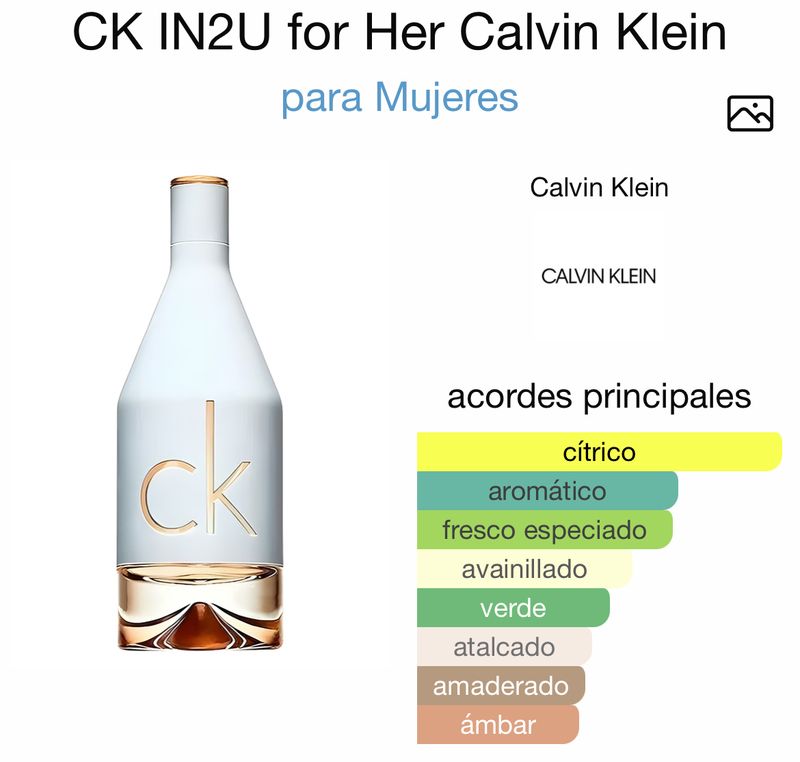 Ck In2U  100 ml