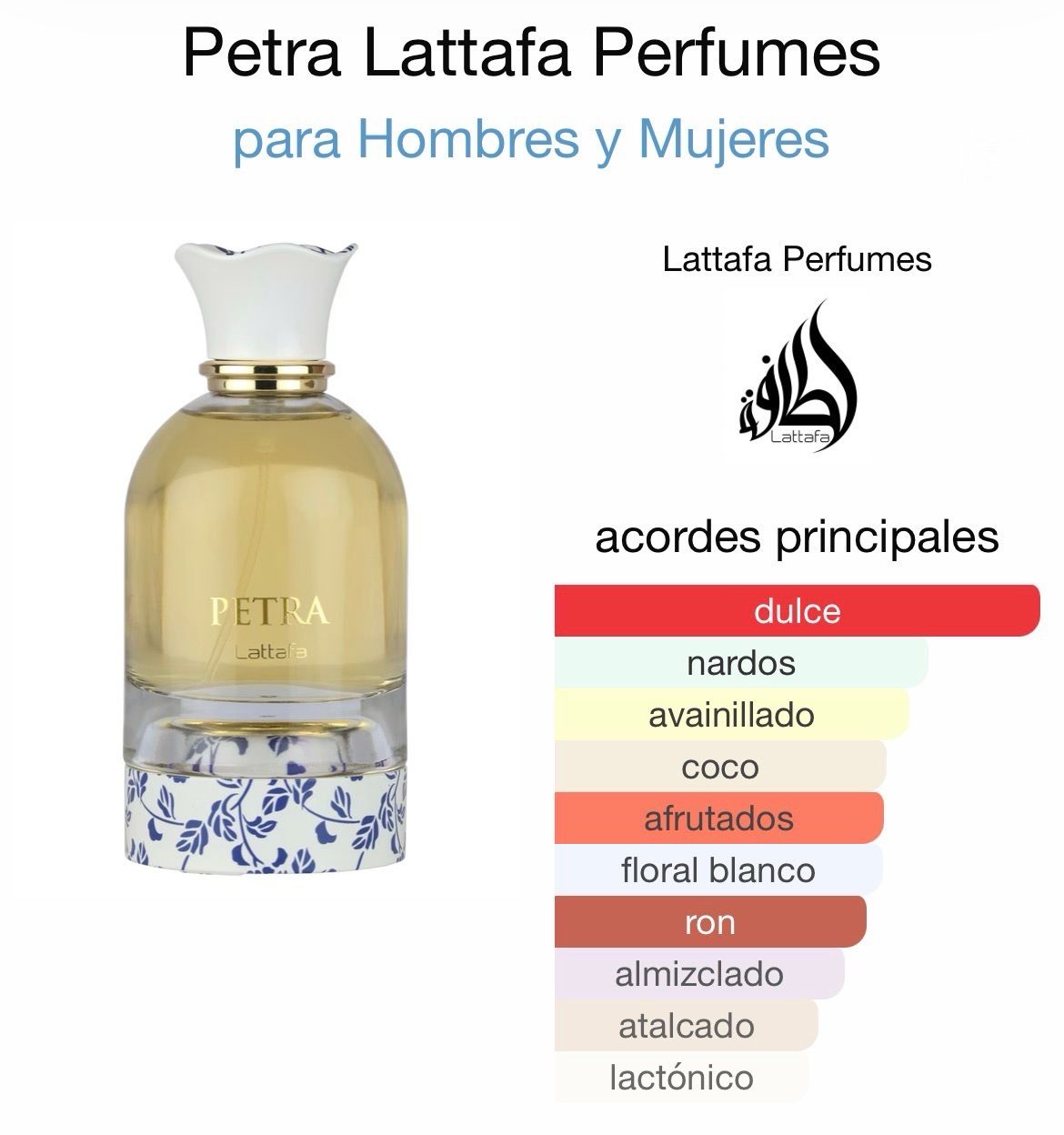 Petra Lattafa Petra Lattafa