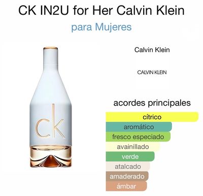 Ck In2U  100 ml
