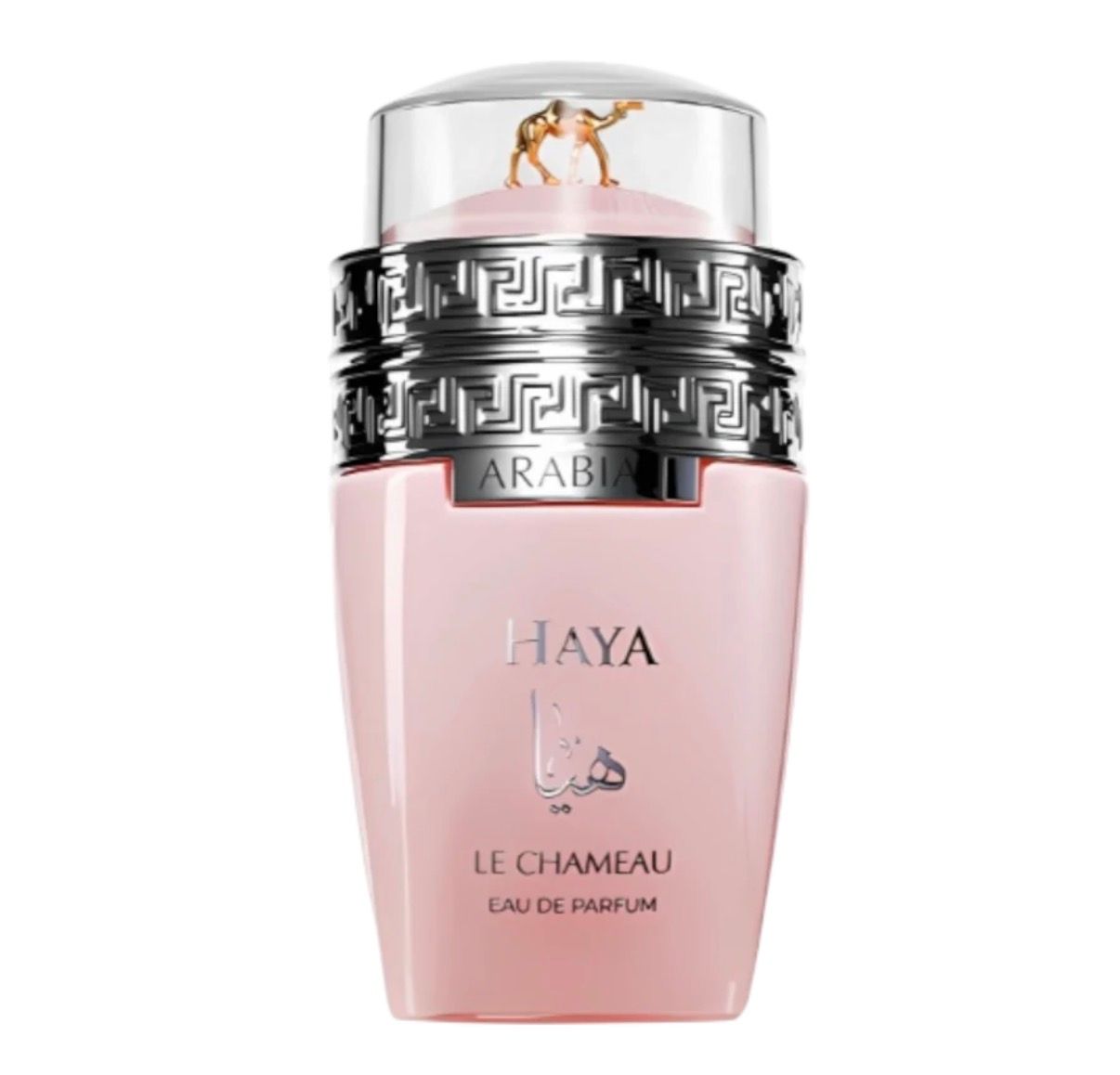Arabia Haya – Le Chameau