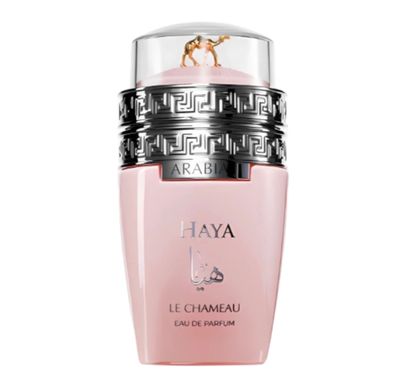 Arabia Haya – Le Chameau