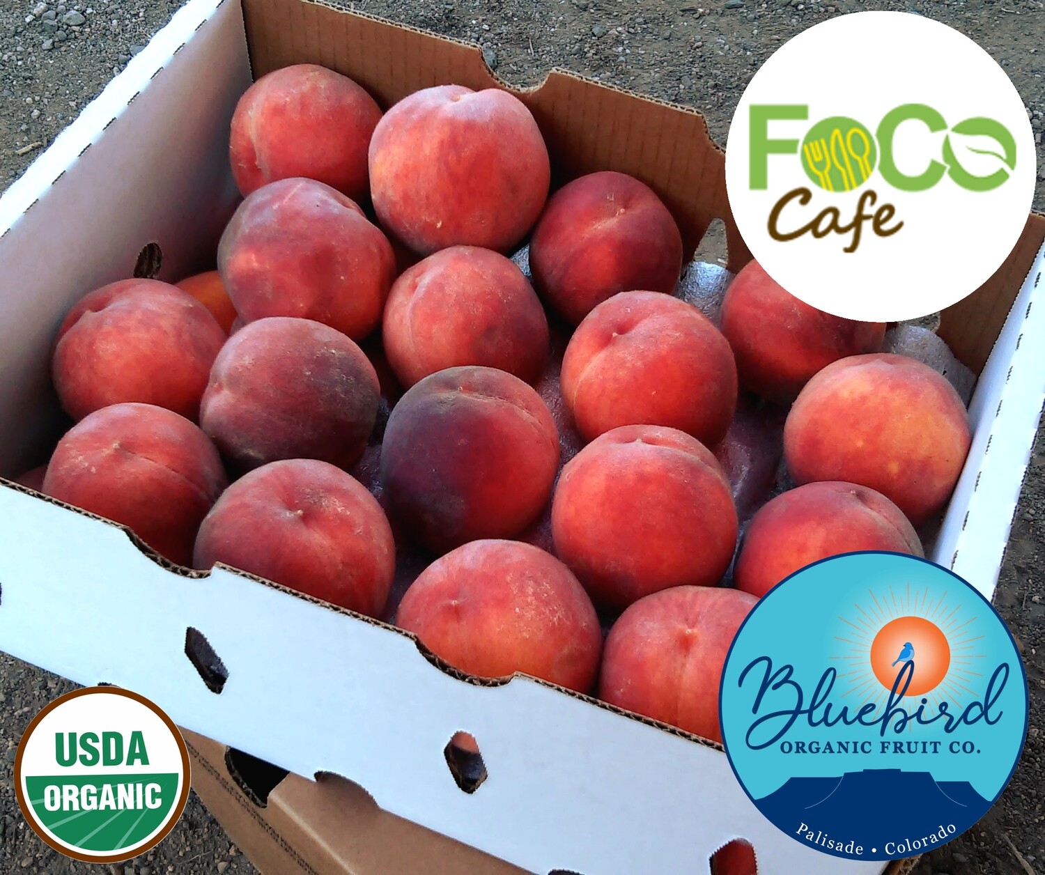 DONATE PEACHES TO FoCo Cafe: One Box of Organic Palisade Peaches