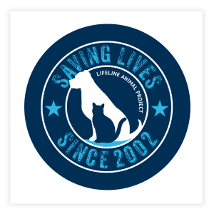 Saving Lives Since 2002