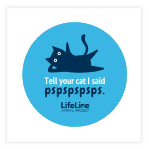 Tell Your Cat I Said