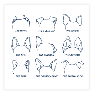 Ear-Resistibly Unique Collection