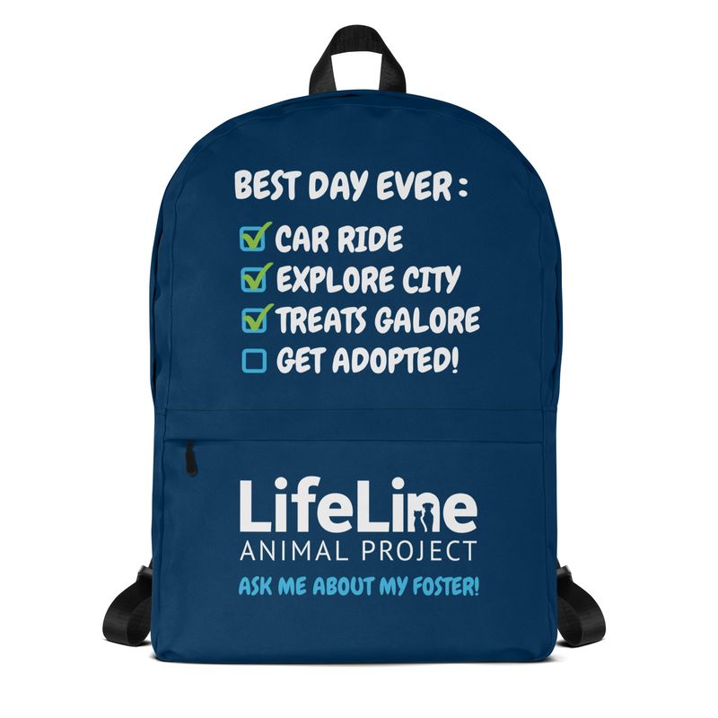 Foster Adventure Backpack