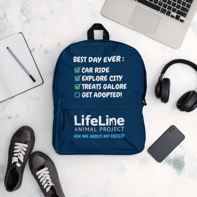 Foster Adventure Backpack